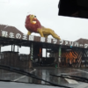 【栃木県】雨にも負けず！那須サファリパークで動物とふれあい旅～サファリウォーク編