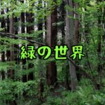 【福島県・磐梯熱海温泉】女一人旅！自然に癒されたいなら「けやきの森散策路」へ（2022年4月）