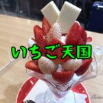 【栃木県】映えスイーツ！宇都宮駅で紅白鮮やかないちごパフェを食す（2022年4月）