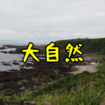 【神奈川県三浦市】レンタサイクルで行く！大自然を満喫できる城ヶ島へ！！（2022年6月）