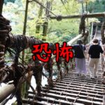 【四国一周・徳島】女一人旅！日本三奇橋の祖谷のかずら橋に行ってみたら、寿命が縮んだw（2022年9月）