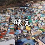 【韓国・釜山】女一人旅！韓国のマチュピチュ？映えるアートの街、甘川文化村に行ってみた（2023年1月）