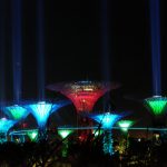 【シンガポール観光6/女一人旅】ガーデンズ・バイ・ザ・ベイの夜景が予想以上に幻想的だった(2017年GW)