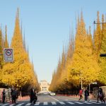【東京】12月でも紅葉？神宮外苑いちょう並木を見に行ってきた！