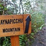 【ペルー・マチュピチュ】大雨ニモマケズ、断崖絶壁ニモマケズ、私はワイナピチュ山を登る(2020年1月)