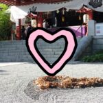 【静岡県・熱海#3】落ち葉のハートがかわいい！パワースポット來宮神社！ (2021年9月)