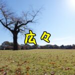 【石川県金沢市#3】こんなに広いの？！金沢城公園を散策【女ひとり旅】(2021年11月)