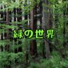 【福島県・磐梯熱海温泉】女一人旅！自然に癒されたいなら「けやきの森散策路」へ（20