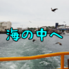 【神奈川県三浦市】三浦の海ってこんなに魚がいるの？！にじいろさかな号に乗って海の