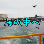 【神奈川県三浦市】三浦の海ってこんなに魚がいるの？！にじいろさかな号に乗って海の中を探検！（2022年6月）