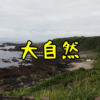 【神奈川県三浦市】レンタサイクルで行く！大自然を満喫できる城ヶ島へ！！（2022年6