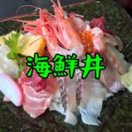 【新潟県糸魚川市】女一人旅！初めての日本海で新鮮な海の幸を堪能♪（2022年7月）