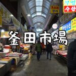 【韓国・釜山】女一人旅！韓国最大規模の釜田市場に行ってみたらすごかった！！（2023年1月）